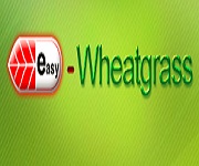 Easy Wheatgrass Coupon Code